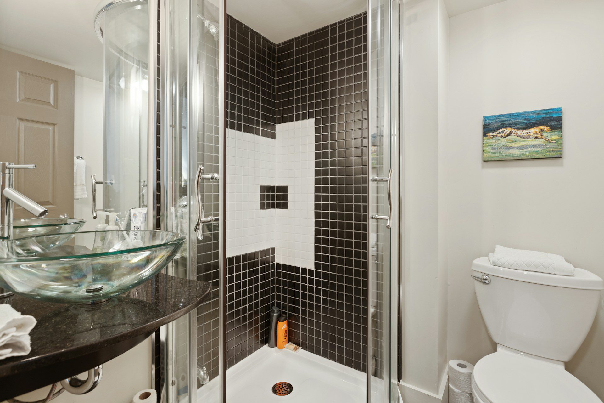 How to Create Best Shower Ideas Experience(2024)